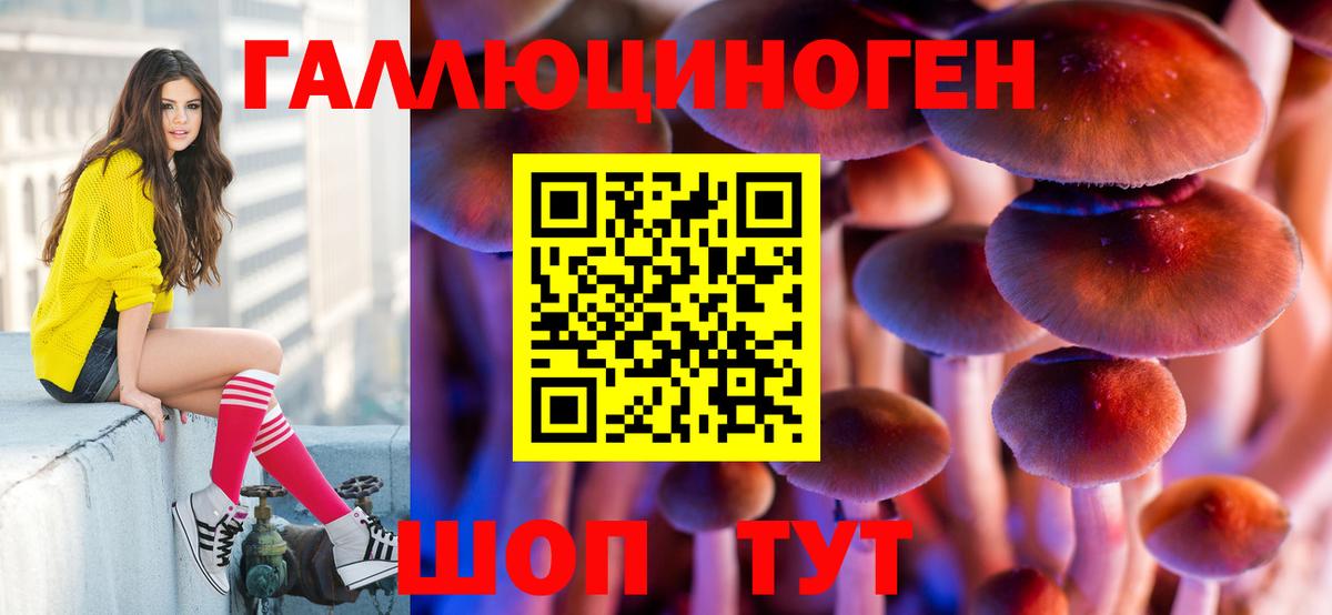 Казань  Галлюциногенные грибы Psilocybe  Вход с VPN  как найти закладки  Псилоцибиновые грибы MAGIC MUSHROOMS 